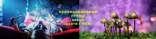mdpv Алексин
